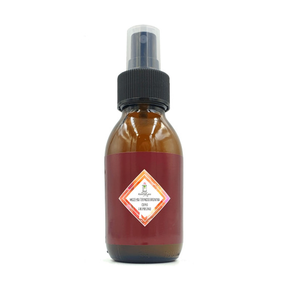 New Cosmetics Thermal Protection Mist Warm and Safe 100ml